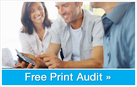 Free Print Audit
